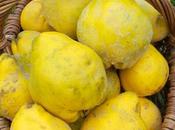 L'agriculture bio, source d'emploi importante