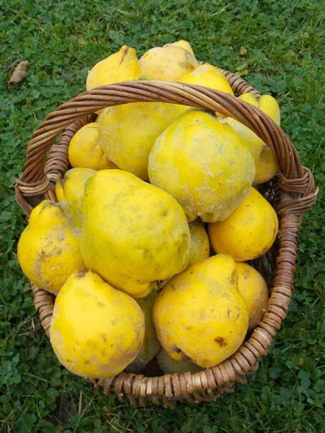 L'agriculture bio, une source d'emploi importante