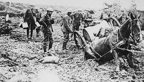 Chevaux première Guerre Mondiale Mémorial animaux de guerre à Paris