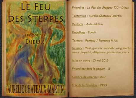 Le Feu de Steppes T10 - Dieux - Aurélie Chateaux-Martin