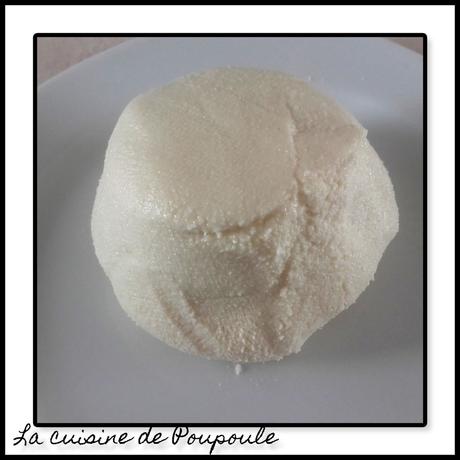 Feta vegan au thermomix ou sans 