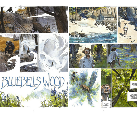BLUEBELLS WOOD, Guillaume Sorel (Glénat) BLUEBELLS WOOD, Guillaume Sorel (Glénat)