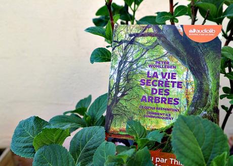 https://www.livreovert.fr/2018/05/la-vie-secrete-des-arbres.html