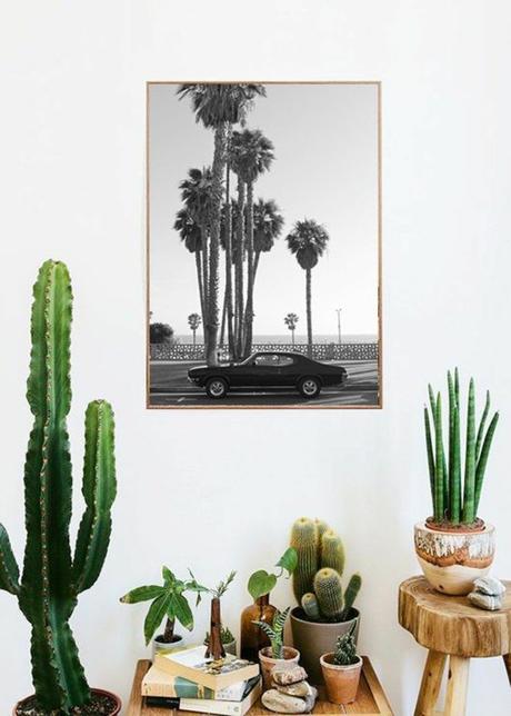 maison californienne cactus plantes californie palm springs tableau noir et blanc