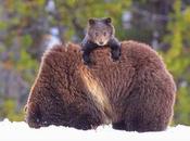 Divers photos avec maman.....2