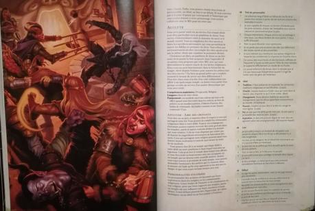 Dungeons & Dragons 5e Éd. : Player’s Handbook, le guide de référence des joueurs de D&D chez Black Book Edition
