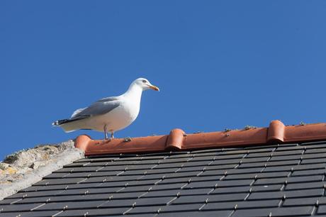 la mer débute avec une question