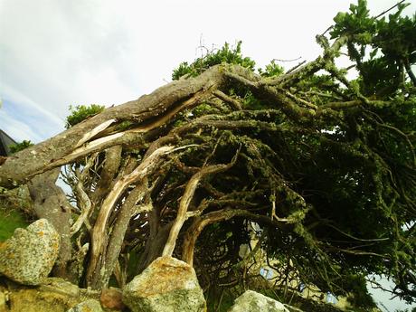 sous les masques les plus variés