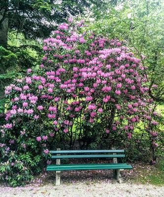 Kurpark Mittenwald: là tout n'est qu'ordre et beauté, luxe, calme et volupté!
