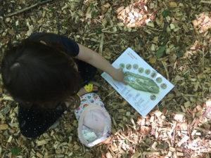 activites enfants et famille au chateau vullierens