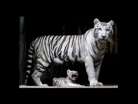 Divers - en photos avec maman.....3