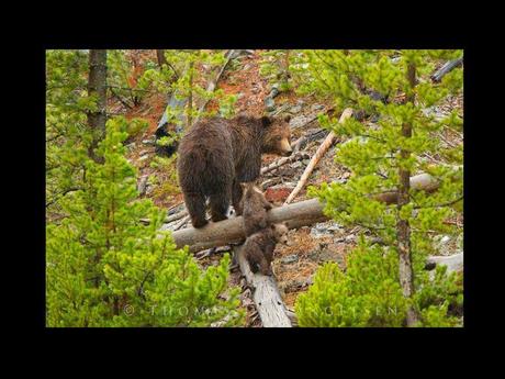 Divers - en photos avec maman.....3