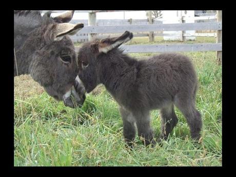 Divers - en photos avec maman.....3