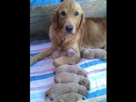 Divers - en photos avec maman.....3