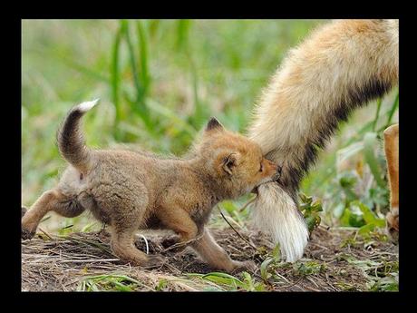 Divers - en photos avec maman.....3