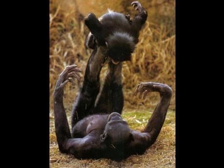 Divers - en photos avec maman.....3