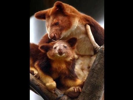 Divers - en photos avec maman.....3