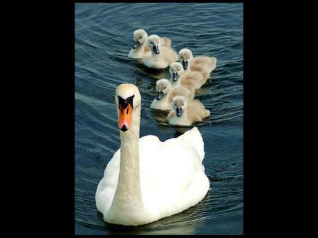 Divers - en photos avec maman.....3