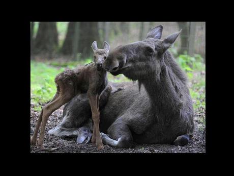 Divers - en photos avec maman.....3