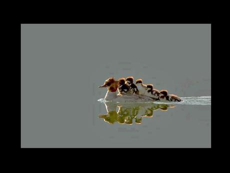 Divers - en photos avec maman.....3