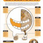 À l’intérieur des Yôkaï – (Shigeru Mizuki) – Éditions Cornélius – 25,50€