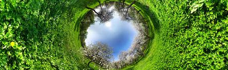 Entrer en saveur avec François Malespine