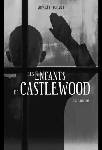 Les enfants de Castlewood par Mickaël Druart