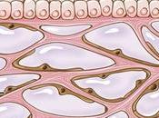 INCROYABLE Vous avez nouvel organe énergétique