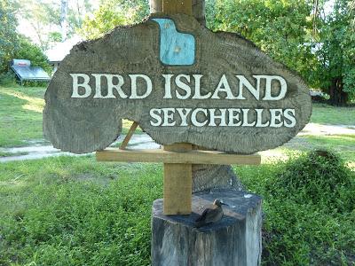 Bird Island : un petit bout de paradis...