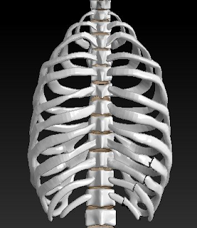 « Trou Noir » terrestre