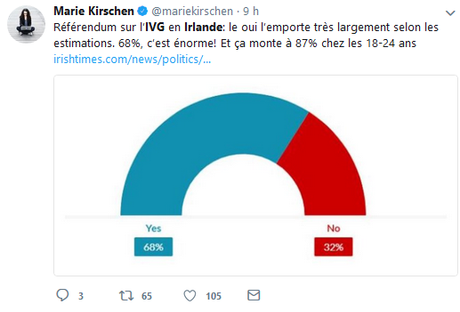 #Irlande #IVG : YES !  (Dehors les bigot.e.s ! )