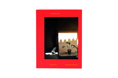 JOEL MEYEROWITZ – HACIA LA LUZ (OUT OF THE DARKNESS)