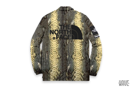 Une coach Jacket Supreme The North Face Snakeskin à leak