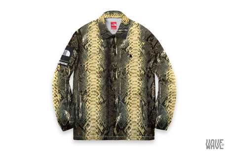 Une coach Jacket Supreme The North Face Snakeskin à leak