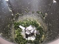 Pesto de Persil Cliquer sur les photographies pour les agrandir