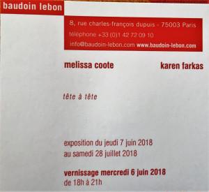 Galerie BAUDOIN LEBON  exposition  Melissa COOTE Karen FARKAS