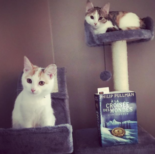 ★★★★★ La Belle Sauvage • Philip Pullman