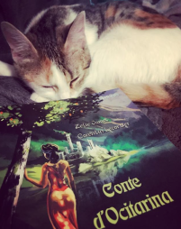 Capture d_écran 2018-05-07 à 21.26.21