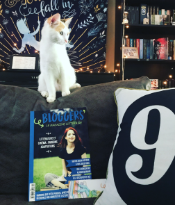 [05/2018] – TOP 5 des articles les plus lus sur le blog en mai !