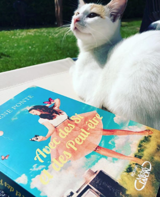 [05/2018] – TOP 5 des articles les plus lus sur le blog en mai !