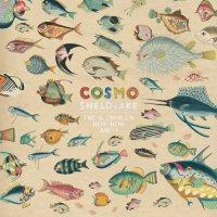 Cosmo Sheldrake ‘ The Much Much How How And I