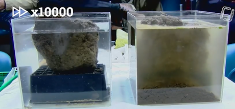 L'intérêt du non-travail du sol : la preuve par l'image