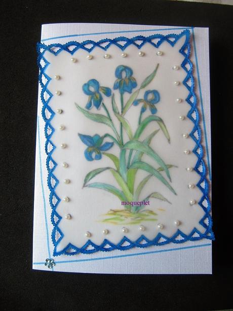 Mes ouvrages - mes cartes en perga -9