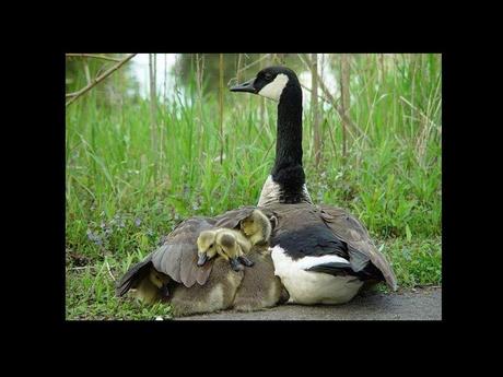 Divers - en photos avec maman.....4