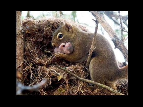 Divers - en photos avec maman.....4