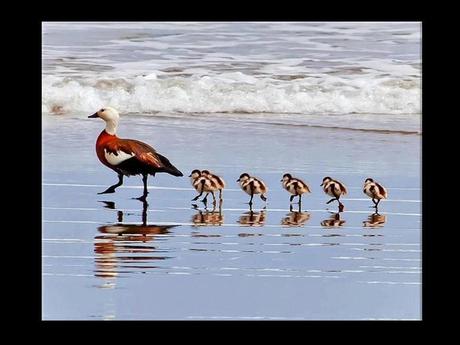 Divers - en photos avec maman.....4