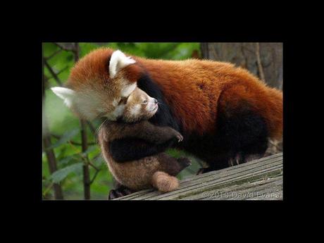 Divers - en photos avec maman.....4