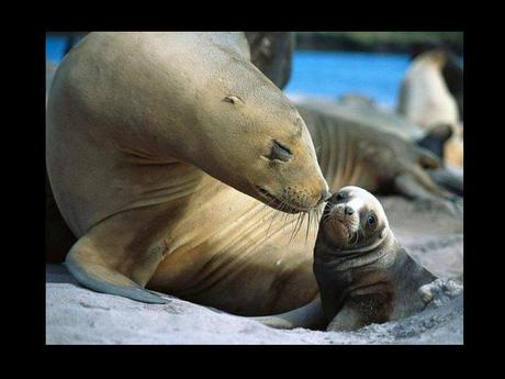 Divers - en photos avec maman.....4