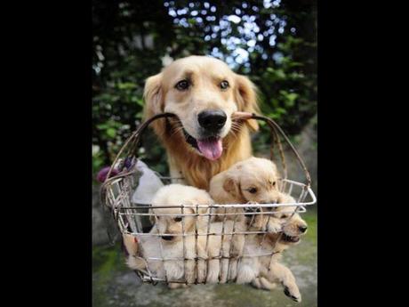 Divers - en photos avec maman.....4