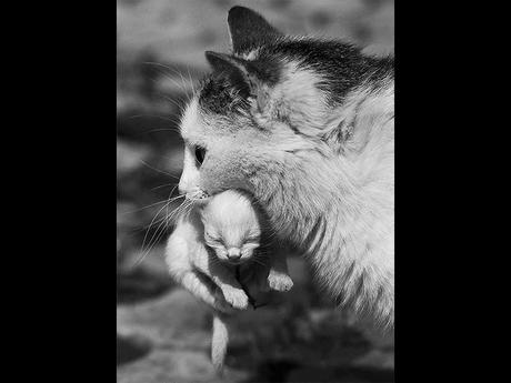 Divers - en photos avec maman.....4